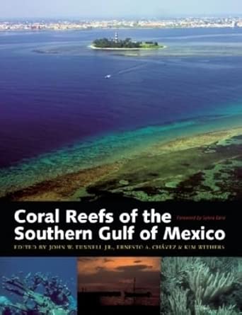 Coral Reefs of the Southern Gulf of Mexico: No. 12 book cover