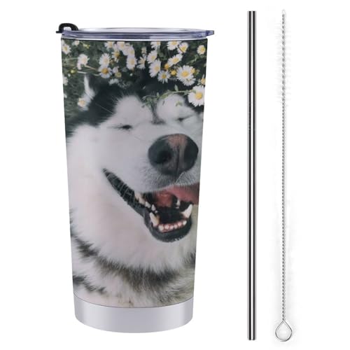  TGh   XeX}OJbv X^CbV 600ml ۗ ۉ Wt ^u[ L d\ S ڂȂRbv ݑԗp