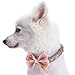 Blueberry Pet 4 Patterns Christmas Moments of Peace Happy Reindeer Designer Adjustable Bowtie Dog Collar, Medium, Neck 14.5