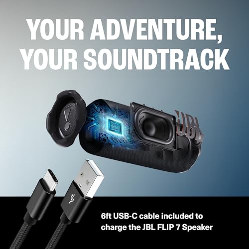 Image of JBL Flip 7 (Black) + Bundle with USB-C Braided Cable