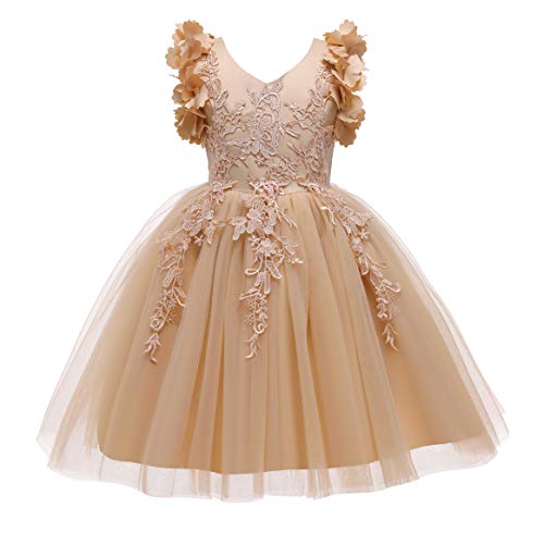 Weileenice Flower Girl Lace Dress Pageant Kids Wedding Christmas Holiday Party Dresses