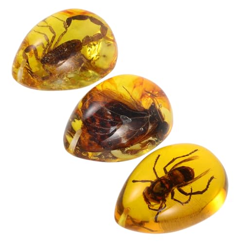 Abaodam 3pcs Amber Specimen Insect Amber Decor DIY Insect Amber Decorative Amber Crafts Insect Specimen Amber Insect Amber Pendant Insect Amber Ornament Amber Resin