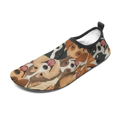 Quick Dry Barefoot Aqua Socks, Husky Golden Retriever Tibetan Mastiff