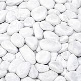 Marmorkies Carrara weiß 15–25 mm 10 kg Zierkies Naturstein für Garten Wege Einfahrten Beete Spritzschutz frostsicher dekorativ pflegeleicht heller Dekokies für moderne Gartengestaltung