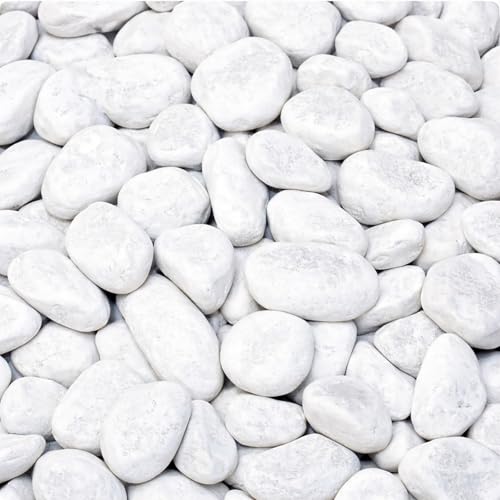 Marmorkies Carrara weiß 15–25 mm 10 kg Zierkies Naturstein für Garten Wege Einfahrten Beete Spritzschutz frostsicher dekorativ pflegeleicht heller Dekokies für moderne Gartengestaltung