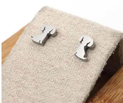 ⊹⊱✿ HUNDE EDELSTAHL OHRSTECKER ✿⊰⊹ ROBUSTE KLEINE STECKER EDELSTAHL IN SILBER Kinder Ohrringe mit Tier, Hund, antiallergisch