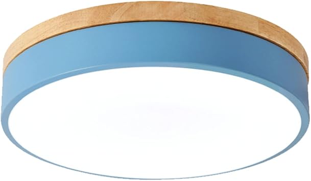 RCIDOS Macaroon Creative Ceiling Lights Bedroom Decor Ceiling Lamp Chandelier of Nordic Style Flush Mount Light Fixtures Iron Art Lamp Shade Lighting Fixtures for Kitchen,Bathroom,Garage,Living