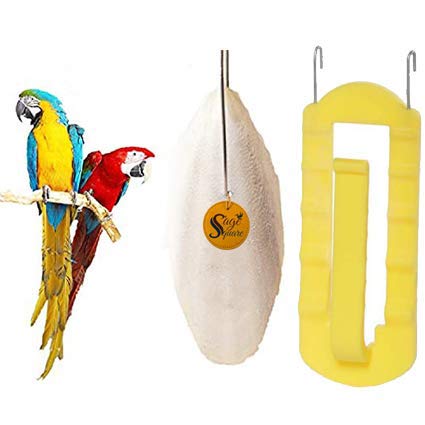 Sage Square Natural Calcium Source Cuttlebone Fish for Birds, Parrot (100grm & Holder) (B08C54LNVY) Amazon Price History, Amazon Price Tracker