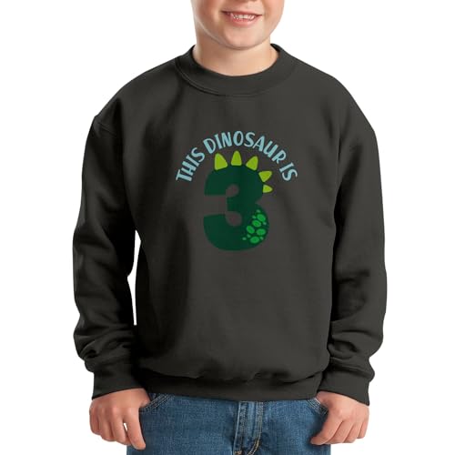 Sweatshirt enfant dinosaure pour anniversaire 3 ans - 2