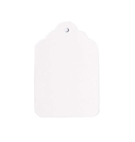 NAHANCO 8NS - Etiquetas de mercancía multiusos sin ataduras de 1-34 x 2-1116 pulgadas, color blanco 1000 por caja (paquete de 1000)