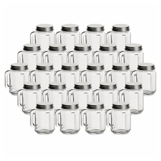 gouveo 24er Set Mini Trinkgläser 30 ml (0,03 l) Mini Trinkgläser 30 ml mit Henkel und Schraubdeckel Schraubverschluss Metall silberfarben Klarglas Shotgläser mit Deckel (TGH030S)