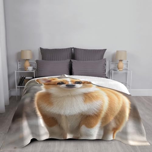 Couverture en flanelle pour vos soirées cocooning devant la télé sur le canapé - 8