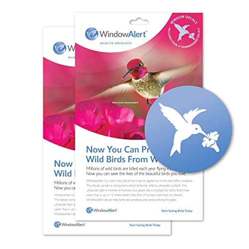 Autocollant anti-collision colibri oiseau vitre protection fenêtre réfléchissant