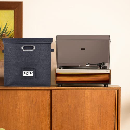 Caixa de armazenamento de discos de vinil resistente – Armazenamento de álbum comporta mais de 50 di