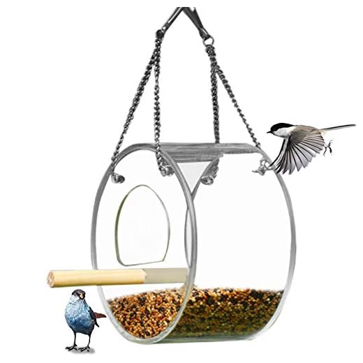 PJDDP Mangeoire, Fenêtre Transparente Mangeoire, Mangeoires Extérieur, Mangeoire Hanging, Écureuil Et Résistant Aux Intempéries pour Les Oiseaux Sauvages, Finch, Cardinal, Oiseau Bleu