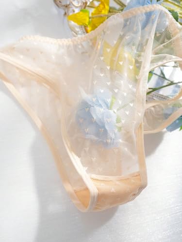 Soly Hux Women'S 5 Piece Mesh Sheer Briefs Panty Set Low Rise Underwear Panties Black Brown Multi S thumb #3