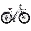 ET.Cycle T720 Electric Fat Tire Bike e Bike for Adults, 750W Powerful Hub Motor, 20MPH, 48V720Wh Large Capacity Removable Battery, Disc Brake, Front Suspension, 8 Speed Gear, 26" x 4" Wheels, 95 Miles #1