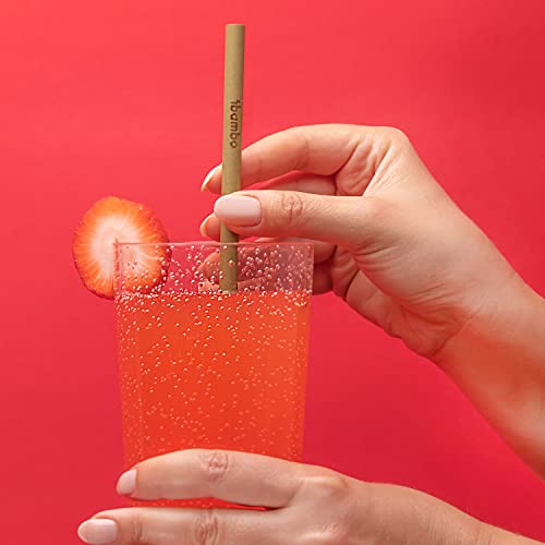 Ibambo 10 Pack Natural Bamboo Straws - Ecofriendly Reusable Straws, 8 Inch Biodegradable Straws, Compostable Straws With Straw Cleaner, Bamboo Reusable Straws Alternative To Plastic Disposable Straws #TOP4