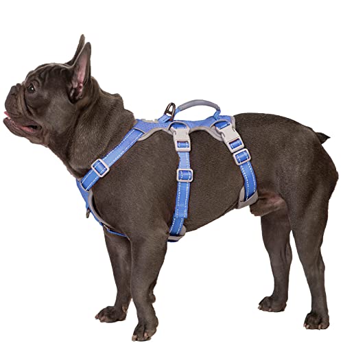 Escape Proof Dog Harness with Reflective Handle