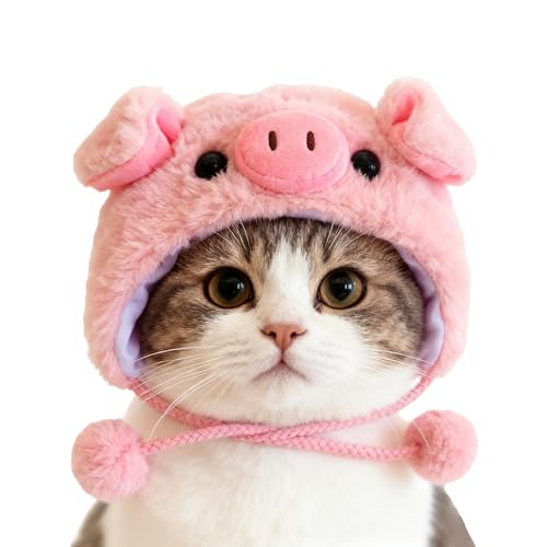 Gungtj ybgpXq - 킢敗fUC̓ - 킢Lp{lbg | ETM  p[eB[  Ղ NX}X nEB