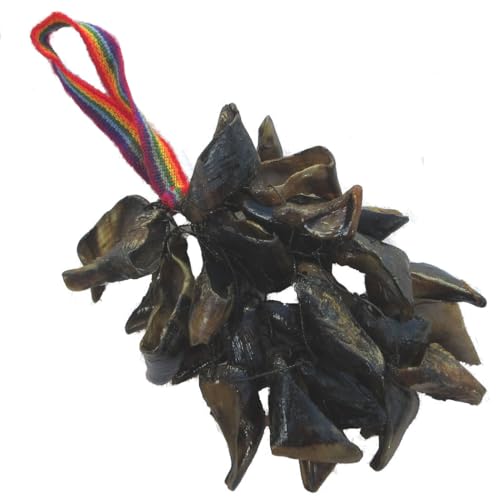 Amazon | チャクチャス IN-013A フォルクローレ楽器 チャフチャス 山羊