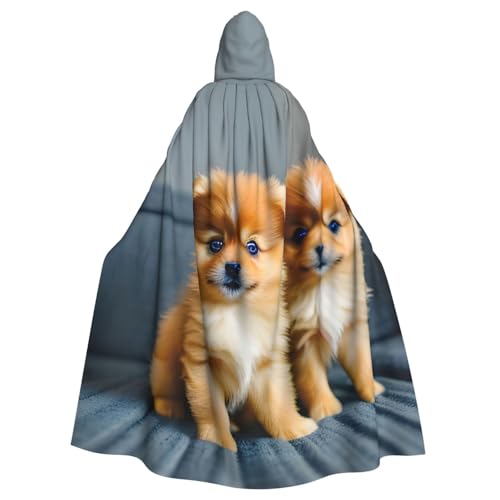Manteau à capuche pour chiot : fini les déguisements inconfortables