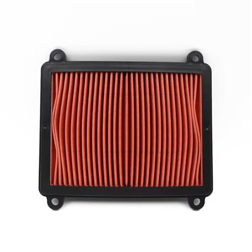 Filtre à air moteur pour ZONTES ZT310V ZT310V1 ZT310VX moto 310cc