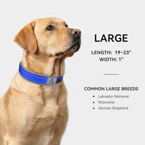Image of Joytale Dog Collar for Large Dogs, Neoprene Padded and Adjustable, Reflective Wide Heavy Duty Pet Collars with Durable Metal Belt Buckle for Walking, Navy Blue, L