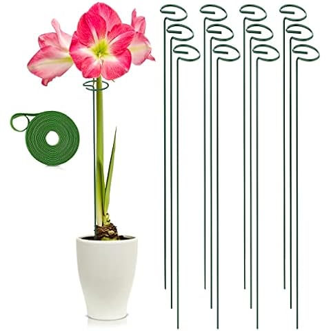 K-Brands 16 Inch 12 Pack Plant Support Stakes – Plant Stem Support Flower Stakes for Indoor and Outdoor Garden Plants – Plant Props for Amaryllis, Peony, Dahlia, Gladiolus, Orchid, Tomato, Pepper Cover