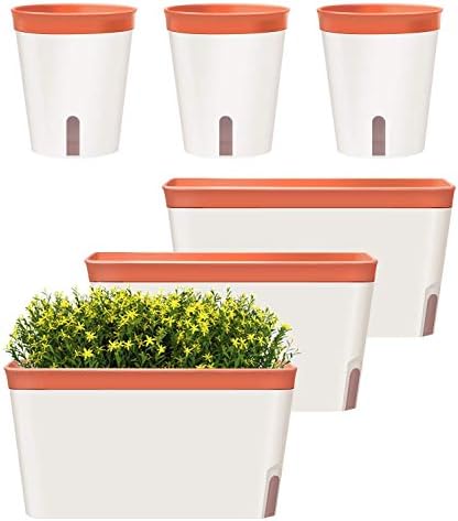 GardenBasix Self Watering Planter Rectangle Window Box Set of 6 for Indoor Plants Home Garden Modern Decorative Flower Pot for All House Herbs Succulents (6, Clay)
