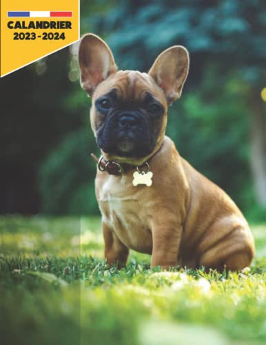 calandrier 2023-2024: Bouledogue Français grand agenda mensuel de 24 mois, de janvier 2023 à décembre 2024 pour les amoureux des Chiens -Un accessoire ... avec listes de tâches et des notes