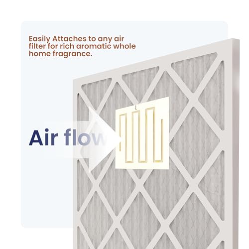 Image of WEB FilterFresh Whole Home Cinnamon Air Freshener 0.8 Ounce (Pack of 1)