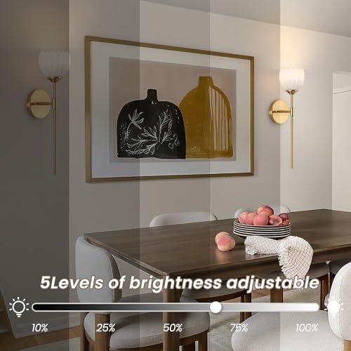 Image of Vintage Battery Operated Wall Sconce Set of 2, Wall Lights with RGB Dimmable Bulbs and Remote,Rechargeable LED Wireless Wall Lamps for Living Room Hallway Bedroom