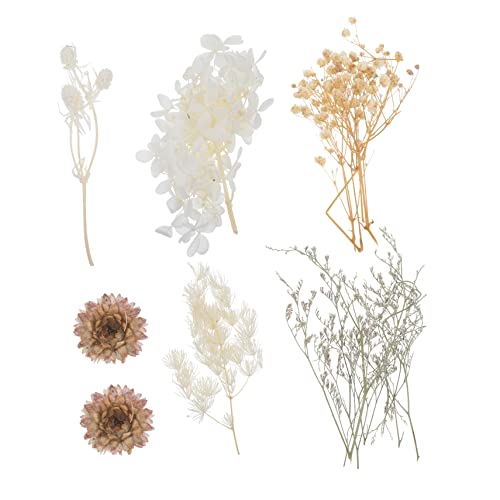 Kit de flores secas prensadas para manualidades miniatura 1