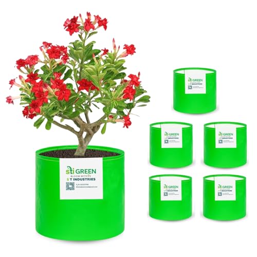 Image of HDPE Grow Bags for Plants 9X9 Inch (Pack of 6) | 260 GSM Heavy Duty UV-Protected Round Green Colour Plant Bags for Terrace and Vegetable Gardening | Strong & Reusable|
