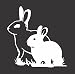 Barking Sand Designs Rabbit (Bunny) Couple - Die Cut Vinyl Window Decal/Sticker Car/Truck 5"x5"