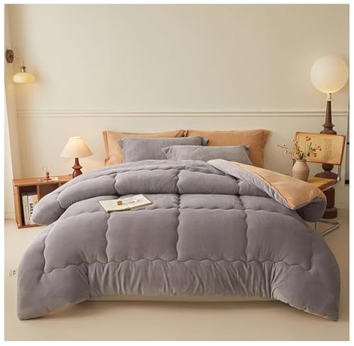 ZTGL Edredón Nórdico Reversible, Relleno Nórdico Microfibra, Edredón Bicolor Cálido y Ligero de Invierno 2.5-5 Kg Gruesa Cálido Manta Grande para Sofá Extrasuave y Cálido,Gris,200x230cm/4kg