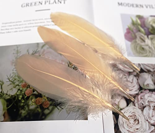 Lampu Natural Goose Feathers 15-20Cm/6-8 Inches Clothing Accessories Pack Of 100 （Champagne） #TOP4