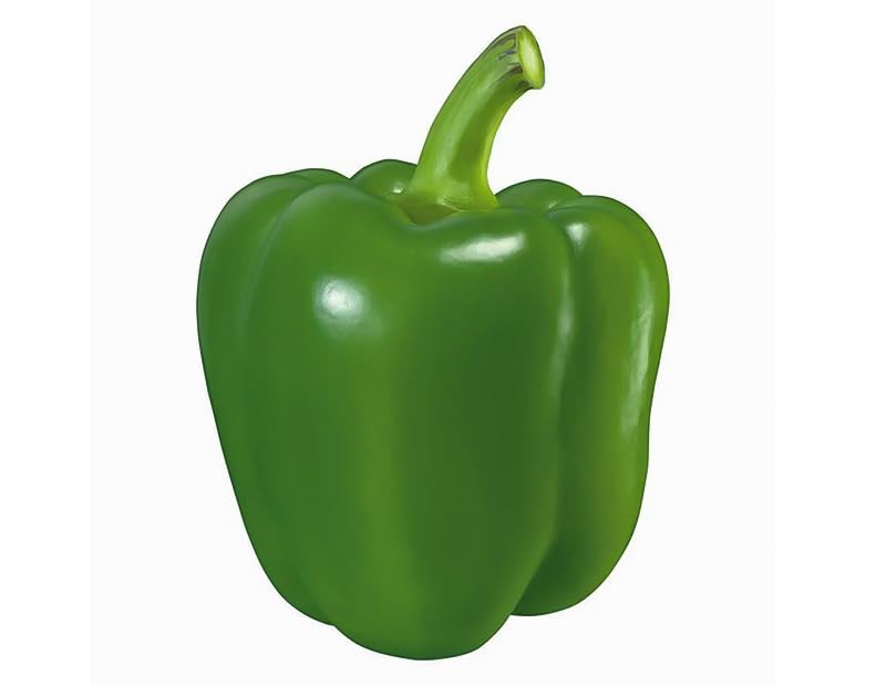 Growtime Green Capsicum Vegetable Seeds, Vegetable Seeds for Home Gardening, Vegetable Planting Seeds for Kitchen, Capsicum Seeds (Pack of 1g) (Green Capsicum) 1