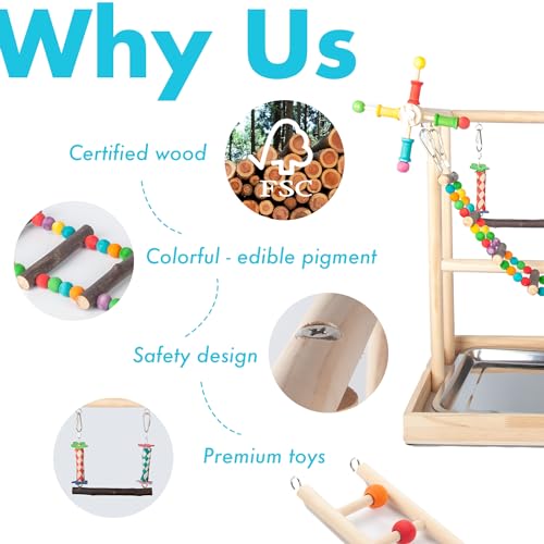 Small Bird Playground Parakeet, Bird Play Ground Parrots Table Top Parrot Stand Medium Quaker Parrot Perch Stand Cockatiel Perch Play Stand with Climb Ladders, Swing,Chewing Toys for Conure Cockatiel