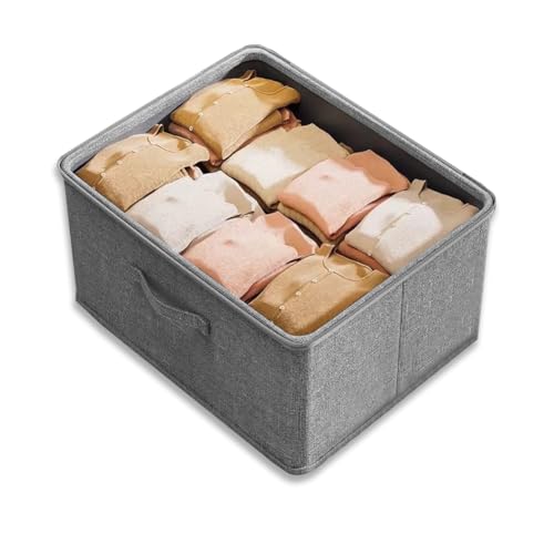 CEWROM Caja de almacenamiento plegable con tapa, cajas de almacenamiento con asa, cesta de almacenamiento de tela, cajas organizadoras para dulces, juguetes (30 x 20 x 14 cm)