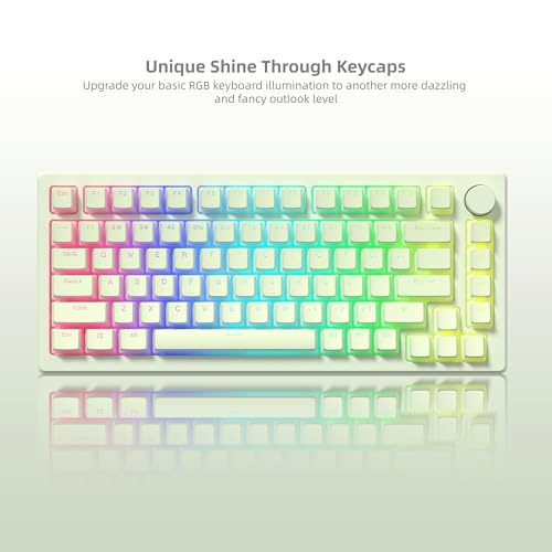 Image of Womier Shine Through PBT Keycaps, Green Pudding Key caps | OEM Profile Double Shot Custom Keyboard Keycaps 130-key Set for 60% 65% 75% 100% Cherry MX Mechanical Keyboard-Matcha Green