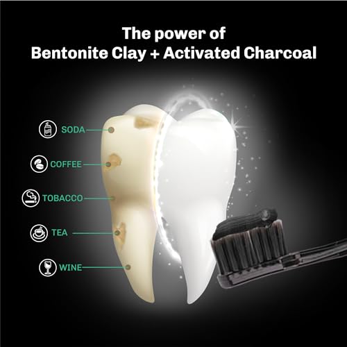 Bentodent Toothpaste - Natural Activated Charcoal Toothpaste for Teeth Whitening & Cavity Protection | No Fluoride & No SLS, Toothache, Bleeding Gums, Sensitivity, Cavities, Fresh Breath Fix (100 g)