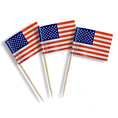 American Flag Decorative Party Toothpicks (200 Pack), Cupcake Picks, Drink Cocktail Picks