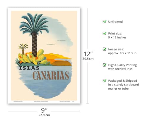Consejos y comparativas para Comprar Palmera canaria que Puedes comprar On-line. 26 Imagen adicional