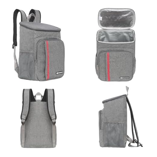 Mochila Térmica Bolsa Cooler Termowave Caixa Para Bebidas Praia Viagem Cor Preto (Cinza)