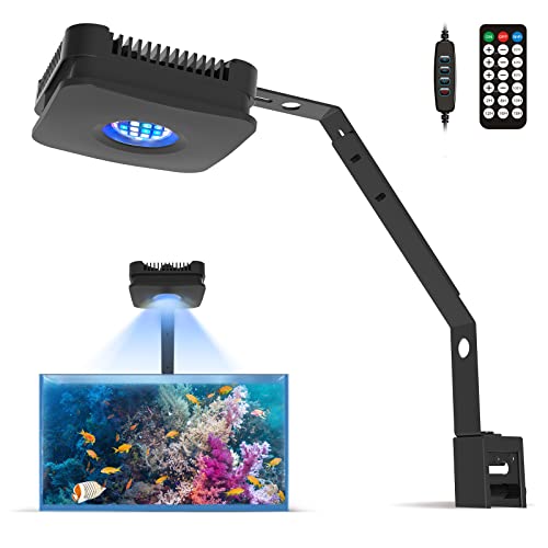 Lominie Éclairage LED pour aquarium, télécommande RF, intensité variable, support inclus, pour poissons d'eau de mer et récifs coralliens, spectre complet (Pxie30...
