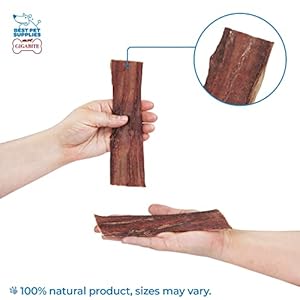 GigaBite-6-Inch-Beef-Gullet-Jerky-Strips-25-Pack-All-Natural-Free-Range-Beef-Esophagus-Taffy-Dog-Treat-by-Best-Pet-Supplies - Cucciolini Doodles   GigaBite-6-Inch-Beef-Gullet-Jerky-Strips-25-Pack-All-Natural-Free-Range-Beef-Esophagus-Taffy-Dog-Treat-by-Best-Pet-Supplies