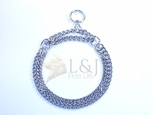 Collier de Dressage pour Chien : Avis Complet et Avantages clés Collier de Dressage pour Chien : Avis Complet et Avantages clés