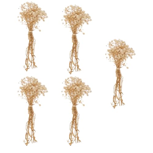 Bouquet de 5 ramos pequeños secas Gypsophila 12cm beige miniatura 1